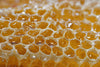 Apicultores: por qué deben probar hoy su miel