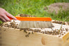 El secreto para cepillar abejas de forma segura